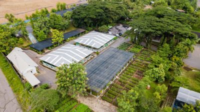 IWIP Ditunjuk Sebagai Kawasan Percontohan Industri Nikel Berkelanjutan, Indonesia Makin Mantap di Peta Industri Global