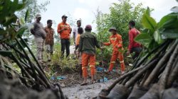 Benteng Alami Halmahera: Ribuan Mangrove Baru Perkuat Perlindungan Pesisir Lewat Program IWIP