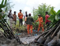 Benteng Alami Halmahera: Ribuan Mangrove Baru Perkuat Perlindungan Pesisir Lewat Program IWIP